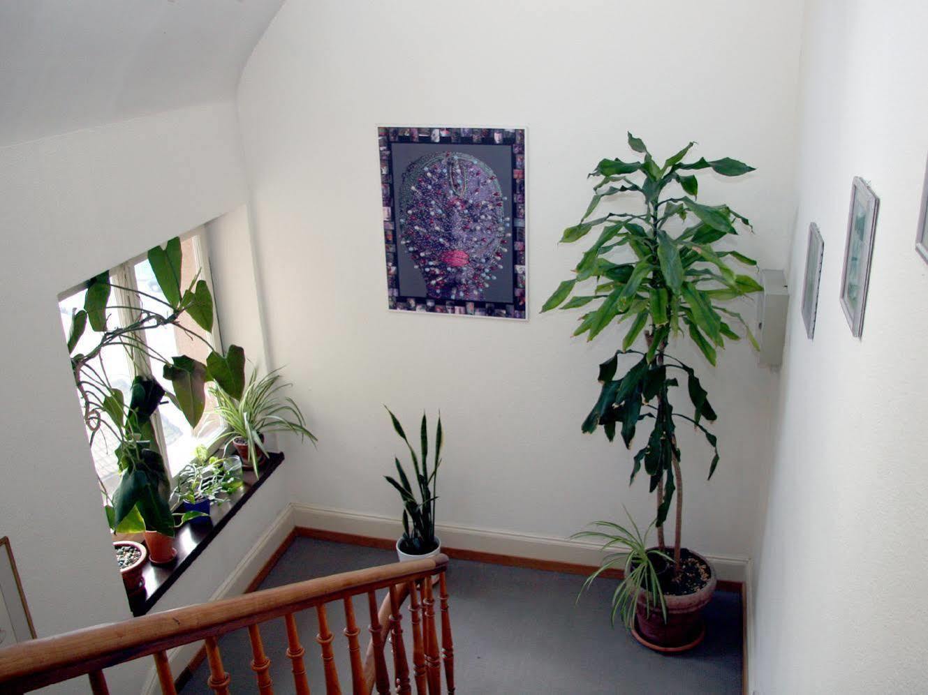 Saint Georges Hotel Zurich Bagian luar foto